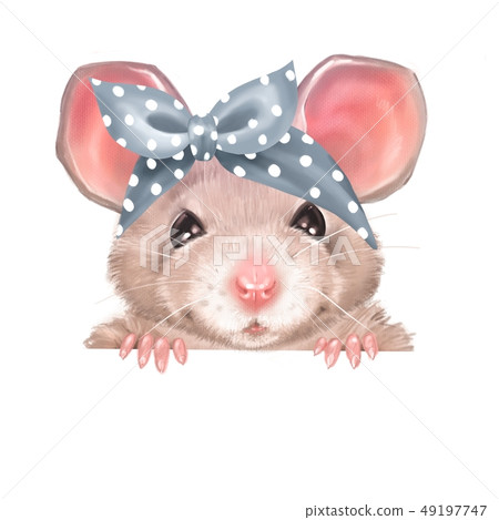 Cute cartoon rat 49197747