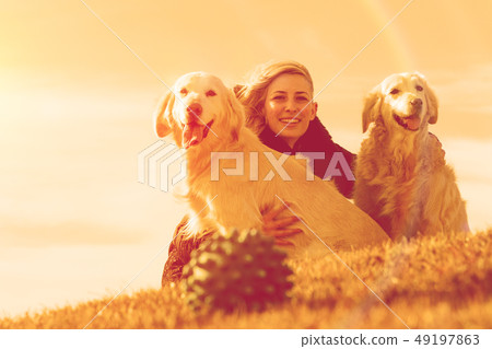 Pets and dogs.training and educating dogs.Companion pets concept Pets and dogs.training and educating dogs.Companion pets concept 49197863