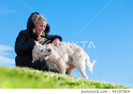 Pets and dogs.training and educating dogs.Companion pets concept Pets and dogs.training and educating dogs.Companion pets concept 49197864