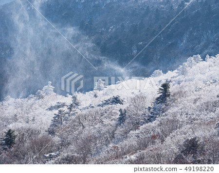 暴風雪 49198220
