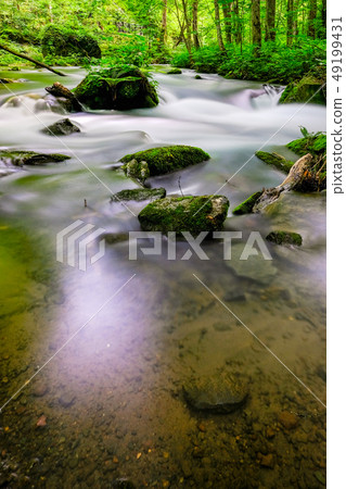 Oirase stream Oirase stream 49199431