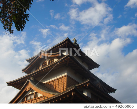 Takashimaro Takashimaro 49200000