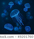 Hand drawn sketch isolated jellyfish, marine animals 49201760