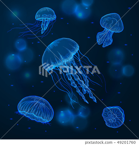Hand drawn sketch isolated jellyfish, marine animals Hand drawn sketch isolated jellyfish, marine animals 49201760