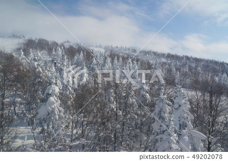 Zao ropeway ice 49202078