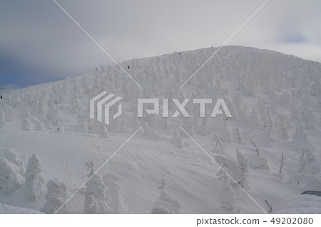 Zao Ropeway Summit Station Ice 49202080