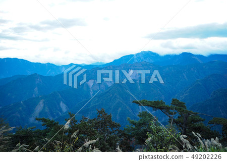 Mountain covered in blue 49202226