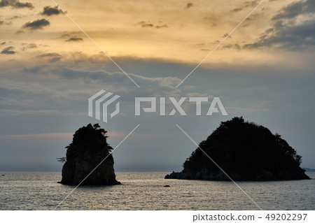 After Sunset at Taean Flower Village in Chungcheongnam-do After Sunset at Taean Flower Village in Chungcheongnam-do 49202297