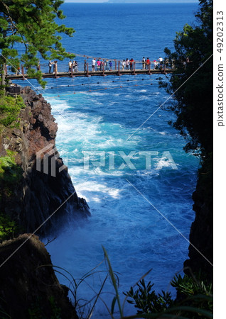 Jogasaki coast gate side suspension bridge (Ito city) 49202313