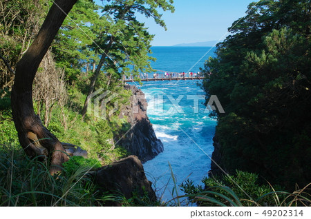 Jogasaki coast gate side suspension bridge (Ito city) 49202314