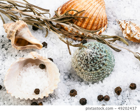 seashells, coarse grained Sea Salt and peppercorn 49202437