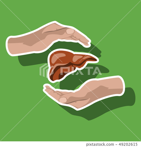 paper sticker on theme world hepatitis day . liver in hands paper sticker on theme world hepatitis day . liver in hands 49202615