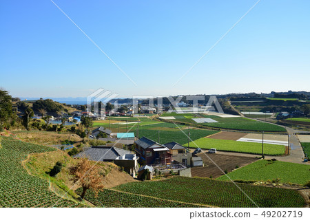 三浦市Minami Shimoura Kanada周圍的風景 49202719