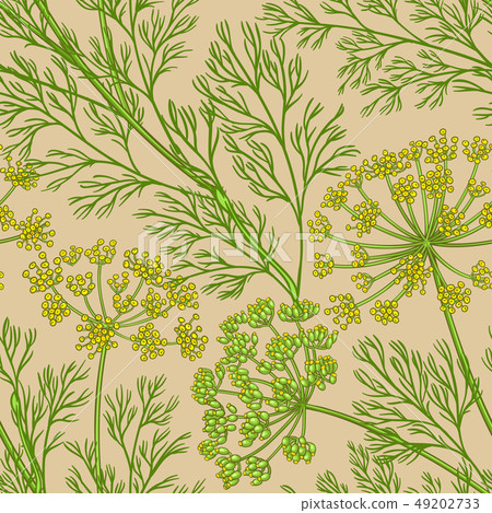 dill vector pattern 49202733