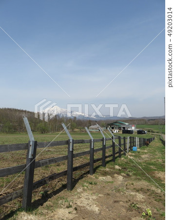 Annupuri (Hokkaido) seen over a ranch Annupuri (Hokkaido) seen over a ranch 49203014