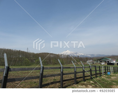 在一個牧場上看到的Annupuri（北海道） 49203085