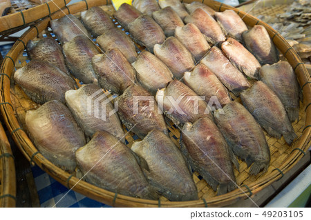 One sunny fish, Snake Skin Gourami One sunny fish, Snake Skin Gourami 49203105