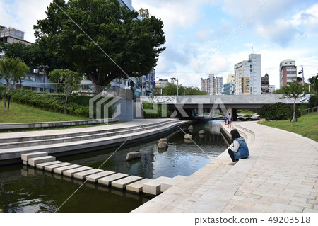 台中,柳川,河堤 49203518