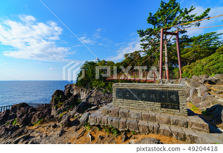 [靜岡縣] Jogasaki Coast 49204418