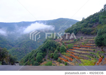 Mountains in the mist Mountains in the mist 49208336