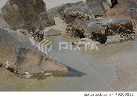 Abstract, Jetty Breakwater on Fernandina Beach, Fl 49209831