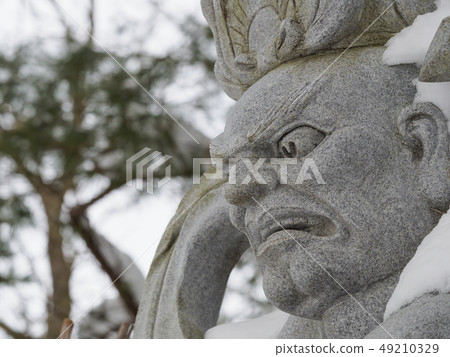 國王的雕像在雪中 49210329