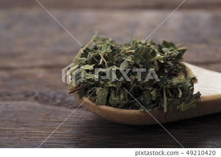 (草本)蕁麻 (草本)蕁麻 49210420