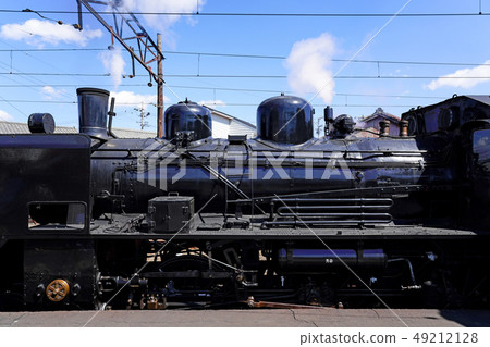 SL，C5644停在Oigawa Shindo Station Shinkanaya站 49212128