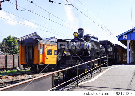 SL，C5644停在Oigawa Shindo Station Shinkanaya站 49212129