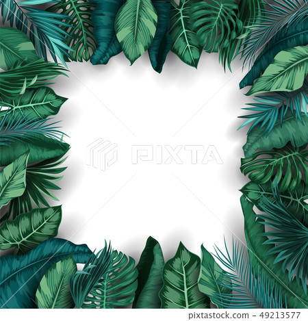 Tropical leaves isolated on white background - Stock Illustration ...