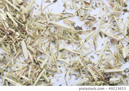 “草本”激情花 “草本”激情花 49213653