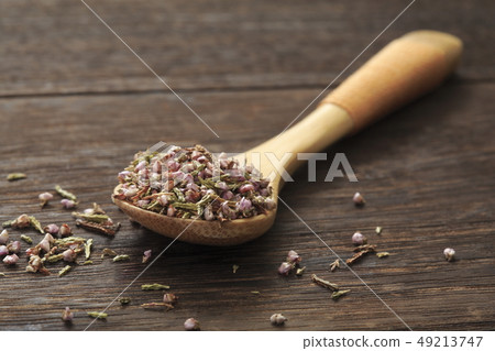 «Herb» Heath Japanese name: Gyoryumodoki 49213747