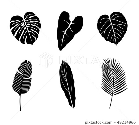 Tropical plant illustration icon set 49214960