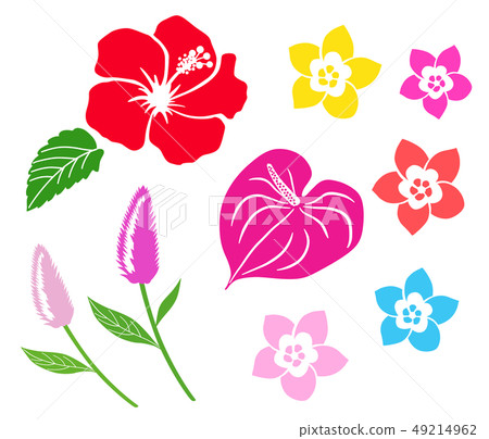 熱帶花卉圖標集 熱帶花卉圖標集 49214962
