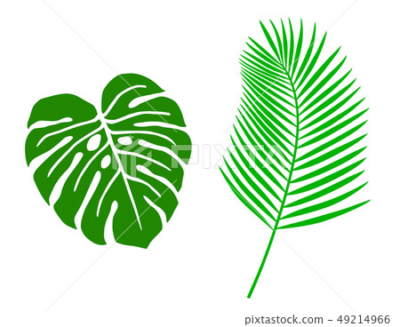 熱帶植物葉子例證象集合 熱帶植物葉子例證象集合 49214966