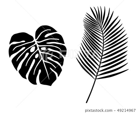 熱帶植物葉子例證象集合 49214967