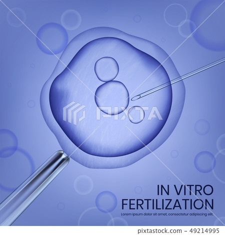Microscope View of In Vitro Fertilization Process 49214995