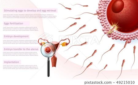 Close Up View Through Magnifier on Woman Womb. 49215010