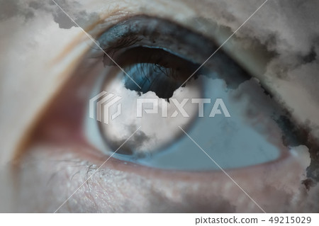 Image Image 49215029