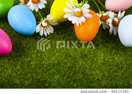 Easter eggs on green grass 49215393