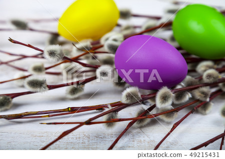 Easter still life with Easter eggs and willow. 49215431