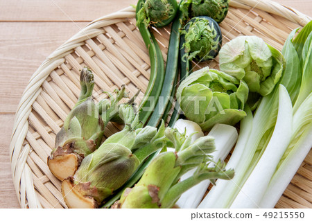 什錦野生植物 什錦野生植物 49215550