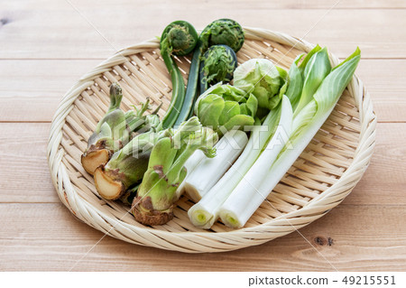 什錦野生植物 49215551