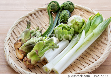 什錦野生植物 什錦野生植物 49215553