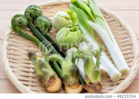 什錦野生植物 什錦野生植物 49215554