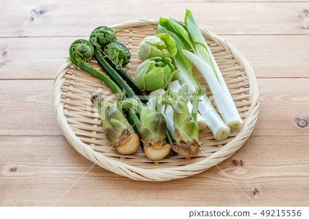 什錦野生植物 什錦野生植物 49215556