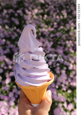 紫藤花的顏色和氣味的軟奶油 49216364