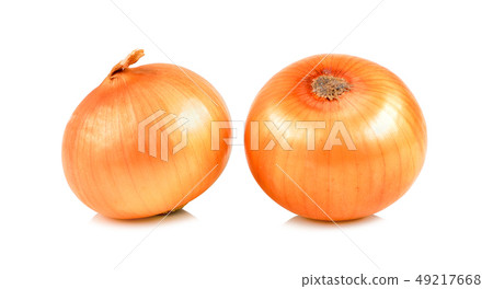 yellow onion isolated on white background 49217668