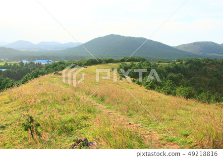 Front ascension, garden, rural scenery, 49218816