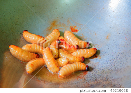 worm palm weevil red or Sago beetle  fried in pan 49219028